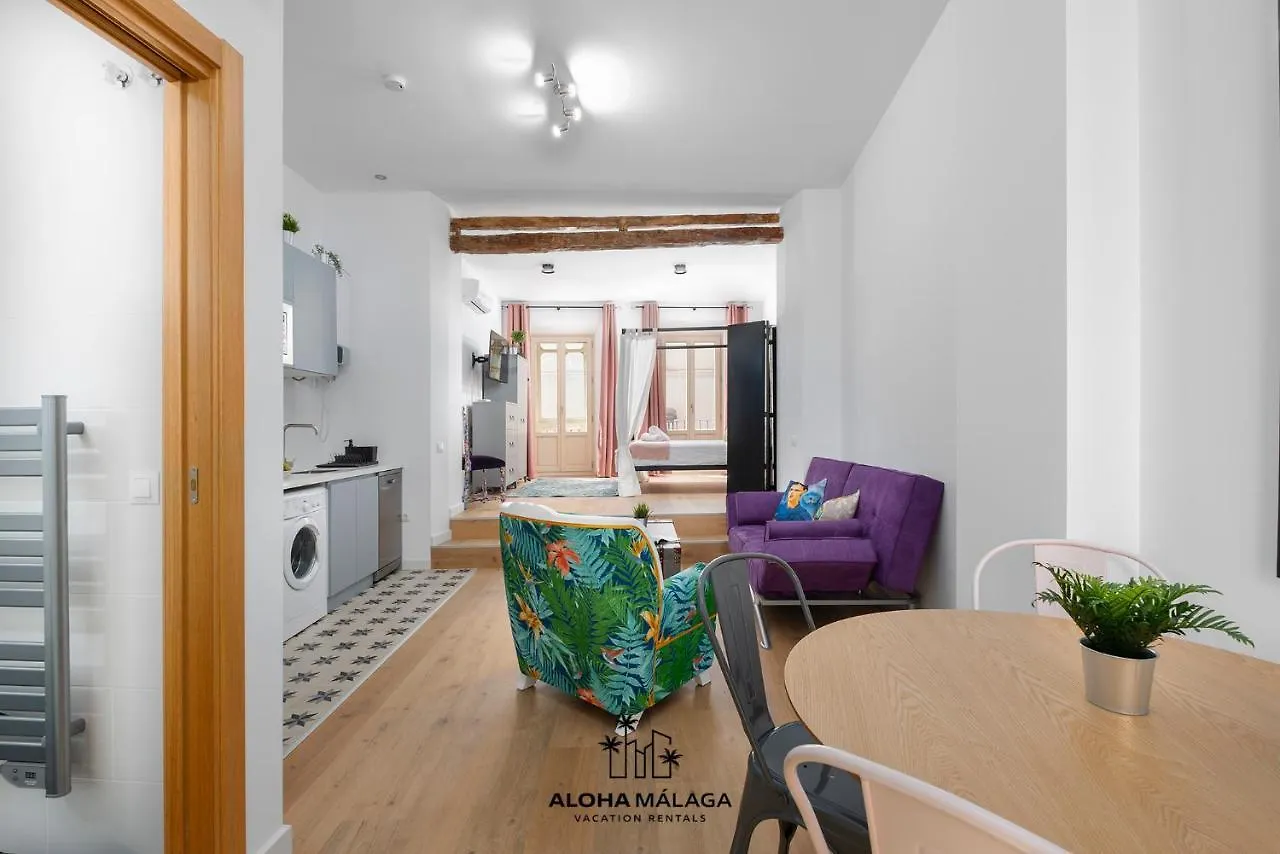 Apartment Can Malaga Apartments, Centro Historico By AlohaMálaga Spanien