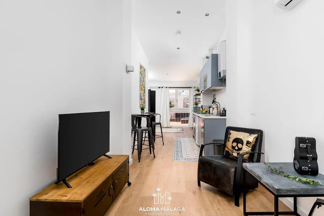 Apartment Can Malaga Apartments, Centro Historico By Alohamalaga Spain