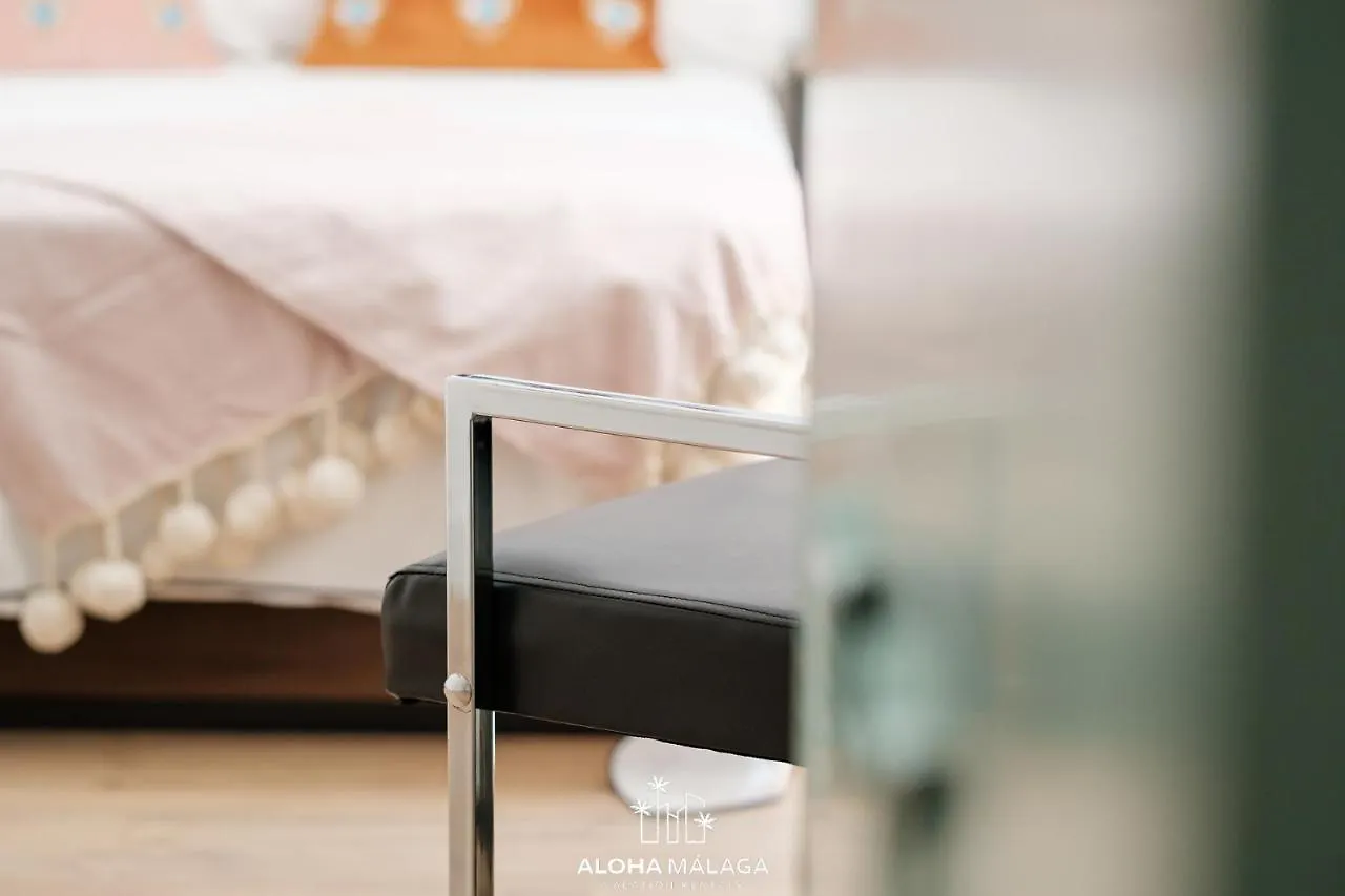 Can Malaga Apartments, Centro Historico By Alohamalaga Spain